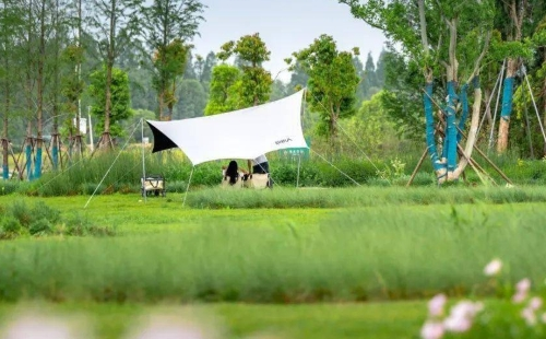 武漢杜公湖國家濕地公園可以露營嗎
