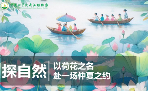 武漢植物園探秘荷花課程時(shí)間和報(bào)名方法2024