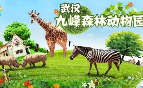 武漢九峰森林動物園春節(jié)活動時間和活動安排