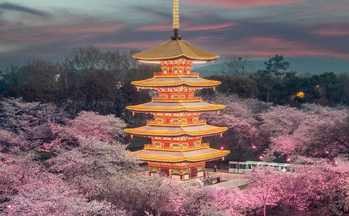 2025東湖櫻花園門票價(jià)格和門票優(yōu)惠政策