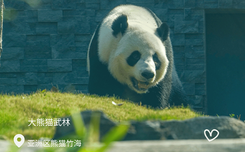 武漢動(dòng)物園門票價(jià)格和門票優(yōu)惠政策2025