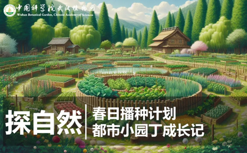 武漢植物園4月4日探自然活動(dòng)內(nèi)容和報(bào)名指南