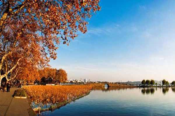 公園603.jpg