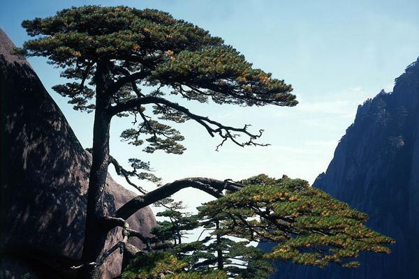 安徽_云南_陜西多省景點宣布對醫(yī)護人員免費開放