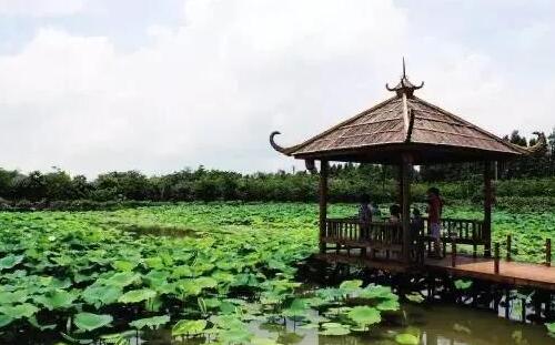 2020珠海市的公園恢復(fù)開放_每日開放時間_游玩須知
