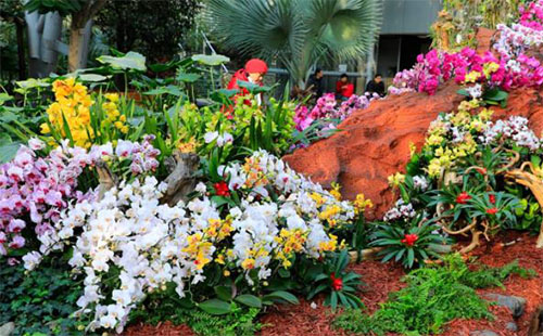 北京植物園門票多少錢_各展館開門時間_需要提前預約嗎