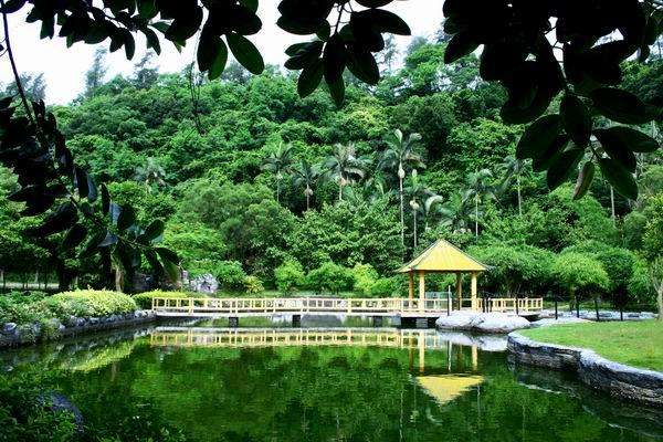 2020中國雷瓊世界地質(zhì)公園?？趫@區(qū)門票優(yōu)惠活動