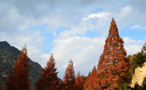杭州大明山景區(qū)門(mén)票及優(yōu)惠政策2020_開(kāi)放了嗎_滑雪場(chǎng)價(jià)格