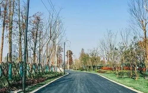 2020武漢東湖綠道騎行路線(xiàn)推薦_周邊景點(diǎn)介紹
