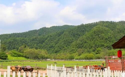 五一寶雞免費的旅游景點有哪些_最新門票優(yōu)惠