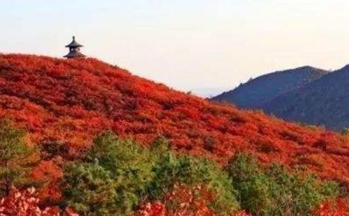 北京香山的紅葉什么時(shí)候紅/什么時(shí)候最好看