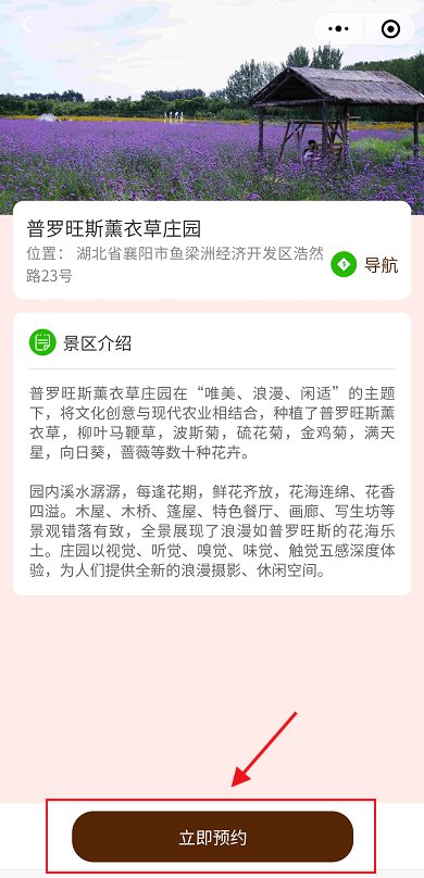 襄陽普羅旺斯薰衣草莊園免門票預(yù)約流程