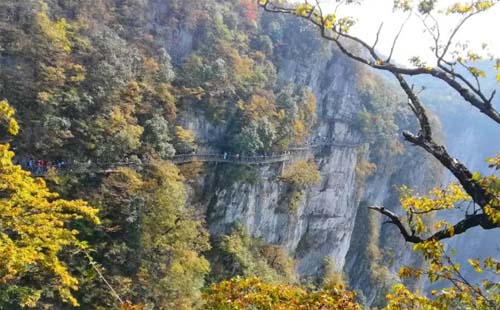 武漢人去張家界天門山注意索道停運(yùn)通知（11月至12月）