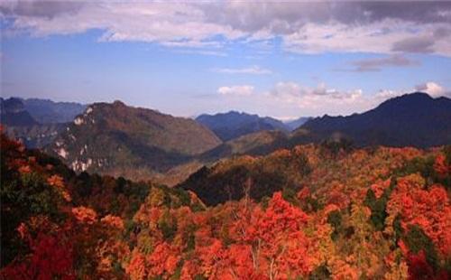2020年光霧山紅葉節(jié)（時間+地點(diǎn)+路線） 最佳看楓葉的地方