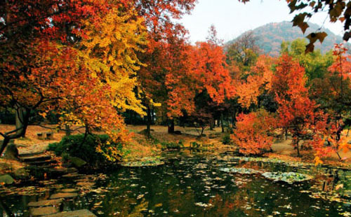 2020蘇州天平山紅楓節(jié)是什么時候