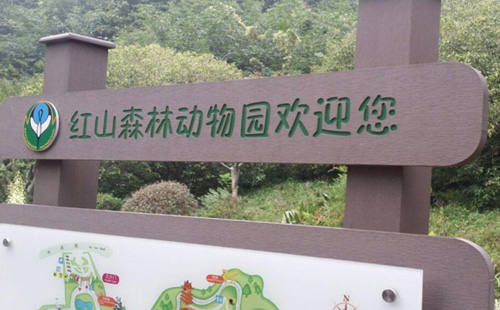 2021南京洪山動物園可以認養(yǎng)的動物有哪些（附認養(yǎng)流程）