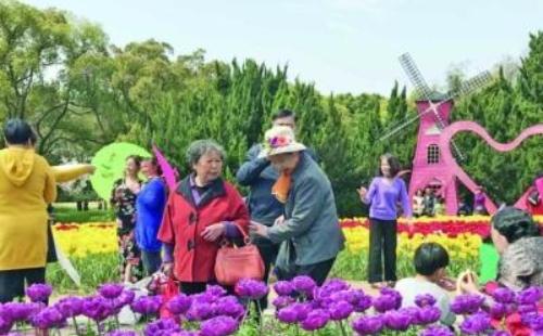 2021年無錫梅園郁金香藝術(shù)節(jié)時間節(jié)目門票