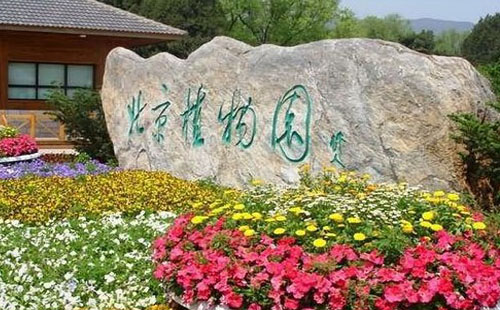 2021北京植物園現(xiàn)在有什么花(附賞花時(shí)間表)