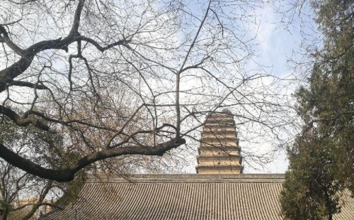 西安小雁塔景區(qū)開(kāi)放了嗎2021（附預(yù)約方式）