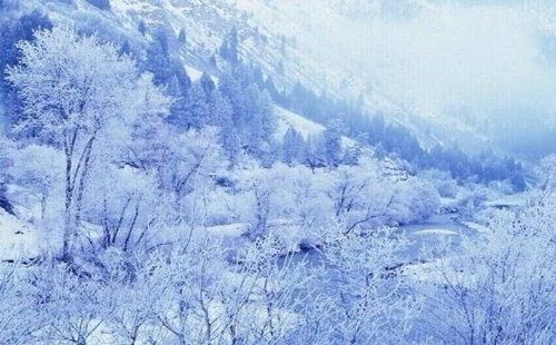 賞雪1.jpg