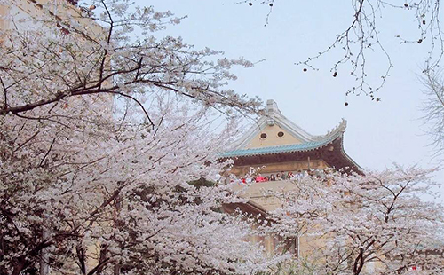 未標題-1.jpg