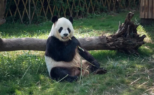 天津動(dòng)物園附近站點(diǎn)一覽（地鐵+公交）