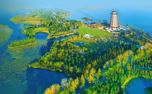 濕地1.jpg