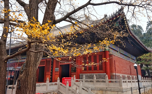 src=http%3A%2F%2Fchuangshicdn.mpres.51vv.com%2Fv_block%2F71ec2d02bc9ec796fb0f9a864d481a5b.jpeg&refer=http%3A%2F%2Fchuangshicdn.mpres.51vv.webp.jpg