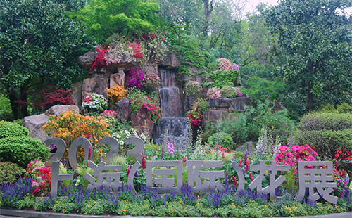2023上海國(guó)際花展時(shí)間地點(diǎn)和活動(dòng)內(nèi)容