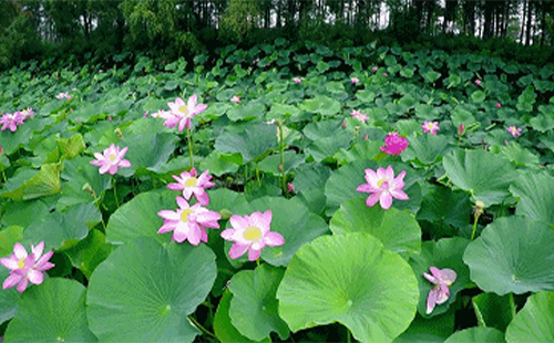 未標(biāo)題-1.jpg