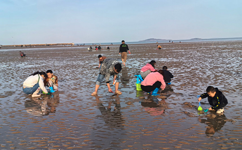 青島趕海最佳地點(diǎn)和時間2024時間表