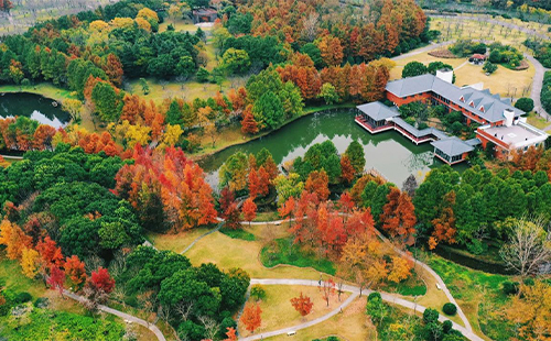 上海顧村公園開放時間及門票價格2024最新