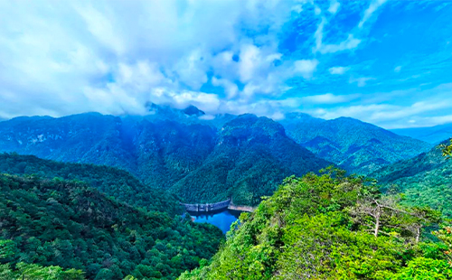 江西井岡山風(fēng)景區(qū)門(mén)票價(jià)格和優(yōu)惠政策2025