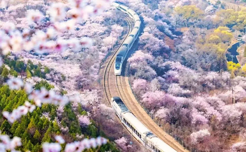 居庸關(guān)花海棧道開放時(shí)間2025