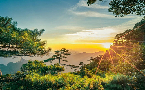 上饒三清山門票價(jià)格和免費(fèi)政策2025