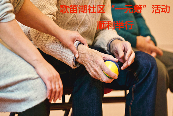 歌笛湖社區(qū)“一元籌”活動順利舉行