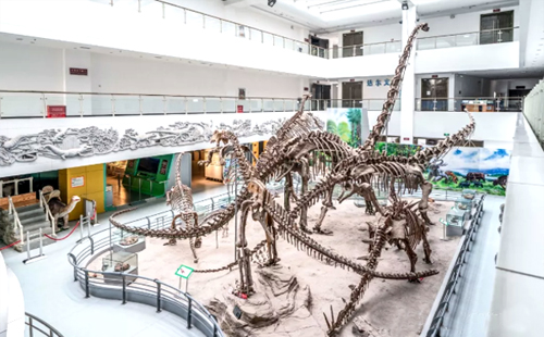 武漢地大博物館鎮(zhèn)館之寶 武漢地質(zhì)大學(xué)博物館開放時(shí)間
