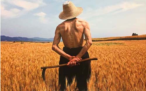 武大萬林藝術(shù)博物館近期展覽——武大攝影班