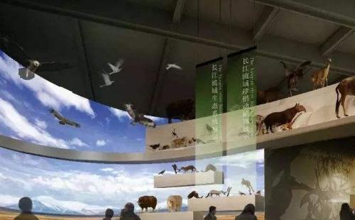 武漢長江文明館怎么預(yù)約2020