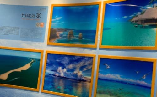 武漢科技館官網(wǎng)預約入口及流程