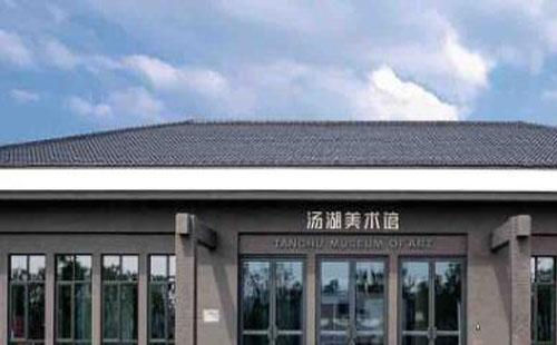 武漢湯湖美術館地址 怎么預約2021