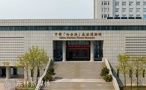 東北林業(yè)大學博物館開放時間及預約入口2025