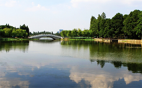 武漢公園養(yǎng)護(hù)技能競賽（參賽項(xiàng)目+競賽）