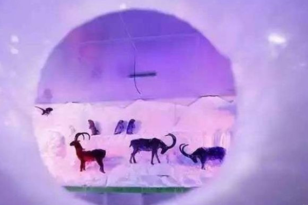 武漢冰雪奇緣好玩嗎(門票+地址+營業(yè)時間)