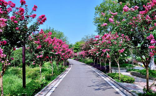2019武漢紫薇都市田園旅游攻略(門票價格+游玩項目+交通路線)