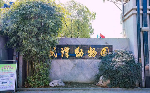 武漢動物園里有哪些動物及場館 門票多少錢一張
