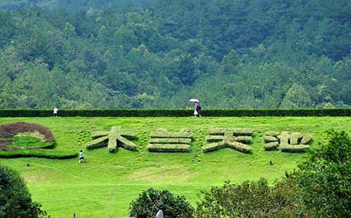 武漢旅游免費(fèi)惠民券景點(diǎn)包括哪些（怎么搶）