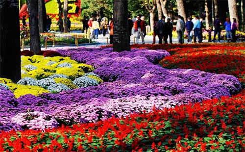 2019武漢植物園國慶節(jié)活動（時(shí)間及地點(diǎn)）
