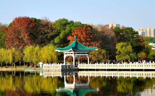 武漢東湖音樂(lè)公園2020武漢東湖音樂(lè)節(jié)時(shí)間門票
