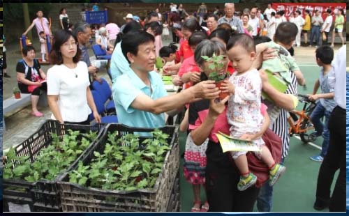 2020年武漢植物園免費(fèi)贈(zèng)送菊花苗活動(dòng)開(kāi)啟